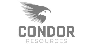 Condor Exploration