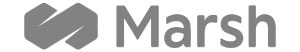 Marsh Perú